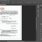 Covea Employer Liability Insurance PSD Template