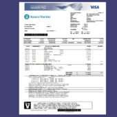 Credit‑Card Summary Template (VISA Classic) in Word and PDF Format