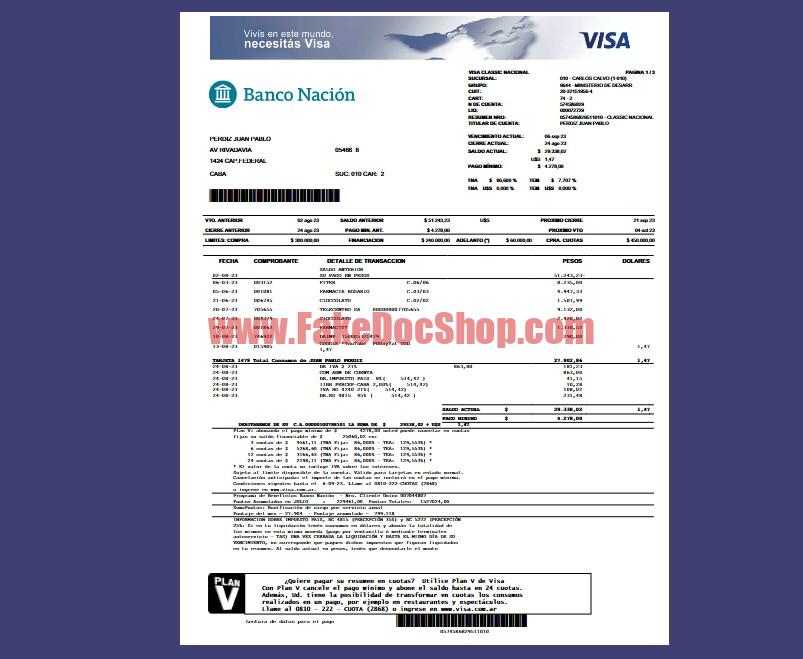 Credit‑Card Summary Template (VISA Classic) in Word and PDF Format