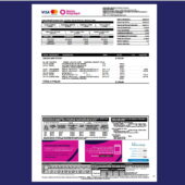 Ecuador Guayaquil Bank Credit‑Card Statement Template in Word and PDF Format
