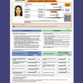 France ETS Official Score Certificate template in Word and PDF format