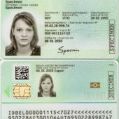 Lithuania Driving License PSD Template (new Version)