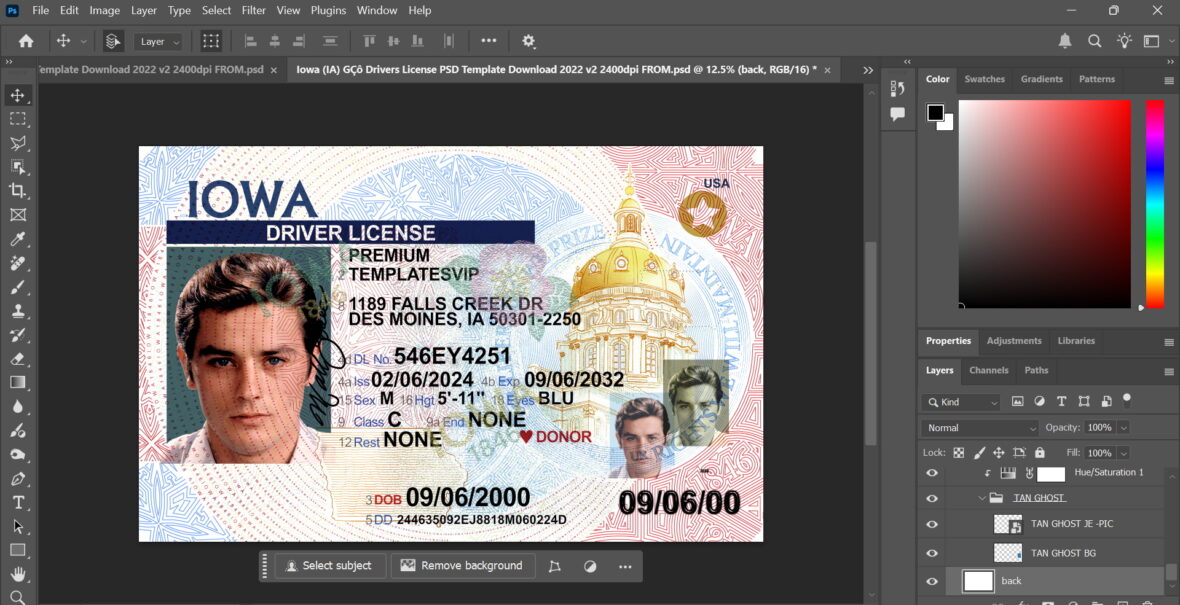 Lowa Driving License PSD Template