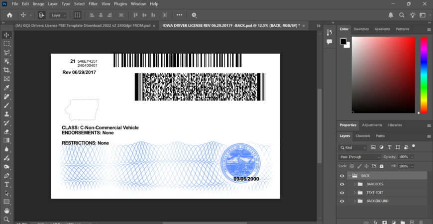 Lowa Driving License PSD Template Rev2022 – High DPI