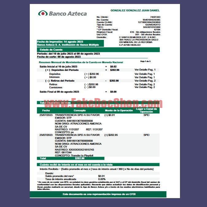 Mexico Minera de la Reforma Account Statement Template