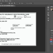 Missouri Auto Insurance PSD Template