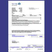 Norway–Sweden Gjensidige Insurance Invoice Template