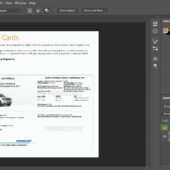 Progressive Car Insurance PSD Template