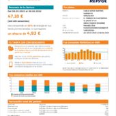 Spain Repsol Electricity Utility Bill Word And PDF Template (2 Pages)