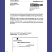 Spain Tax Document In Word And PDF Format