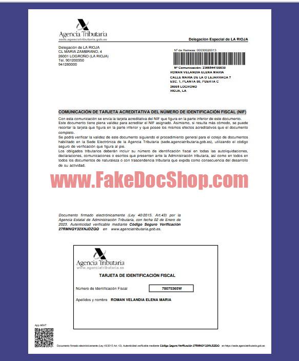 Spain Tax Document In Word And PDF Format