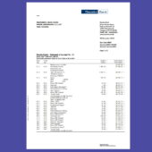 Sweden Danske Bank Account Statement template in Word and PDF format