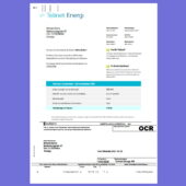 Sweden Telinet Energy Invoice template in Word and PDF format