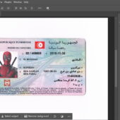 Tunisia Driving License PSD Template