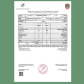 UAE Secondary School Certificate Template