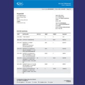 UAE UBL Account Statement Template in word and pdf format