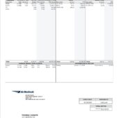 USA Air Methods Paystub Word And PDF Template