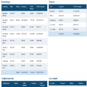 USA Apex Payroll Word And PDF Template (2 Pages)