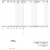 USA B3 Solutions LLC Paystub Word And PDF Template