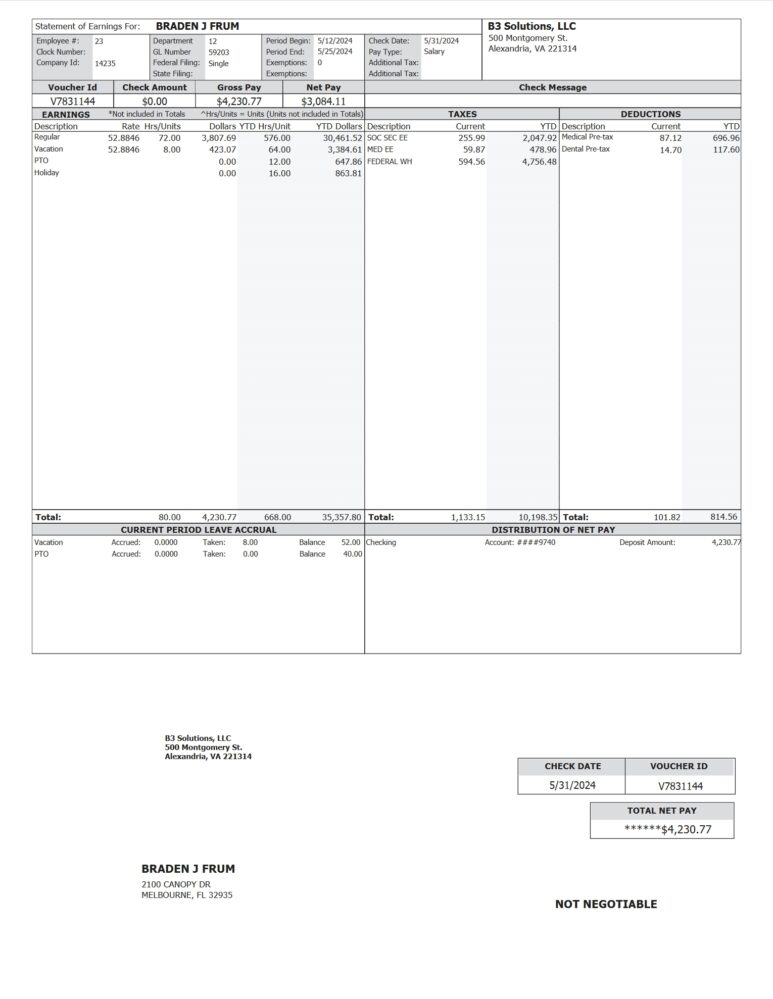 USA B3 Solutions LLC Paystub Word And PDF Template