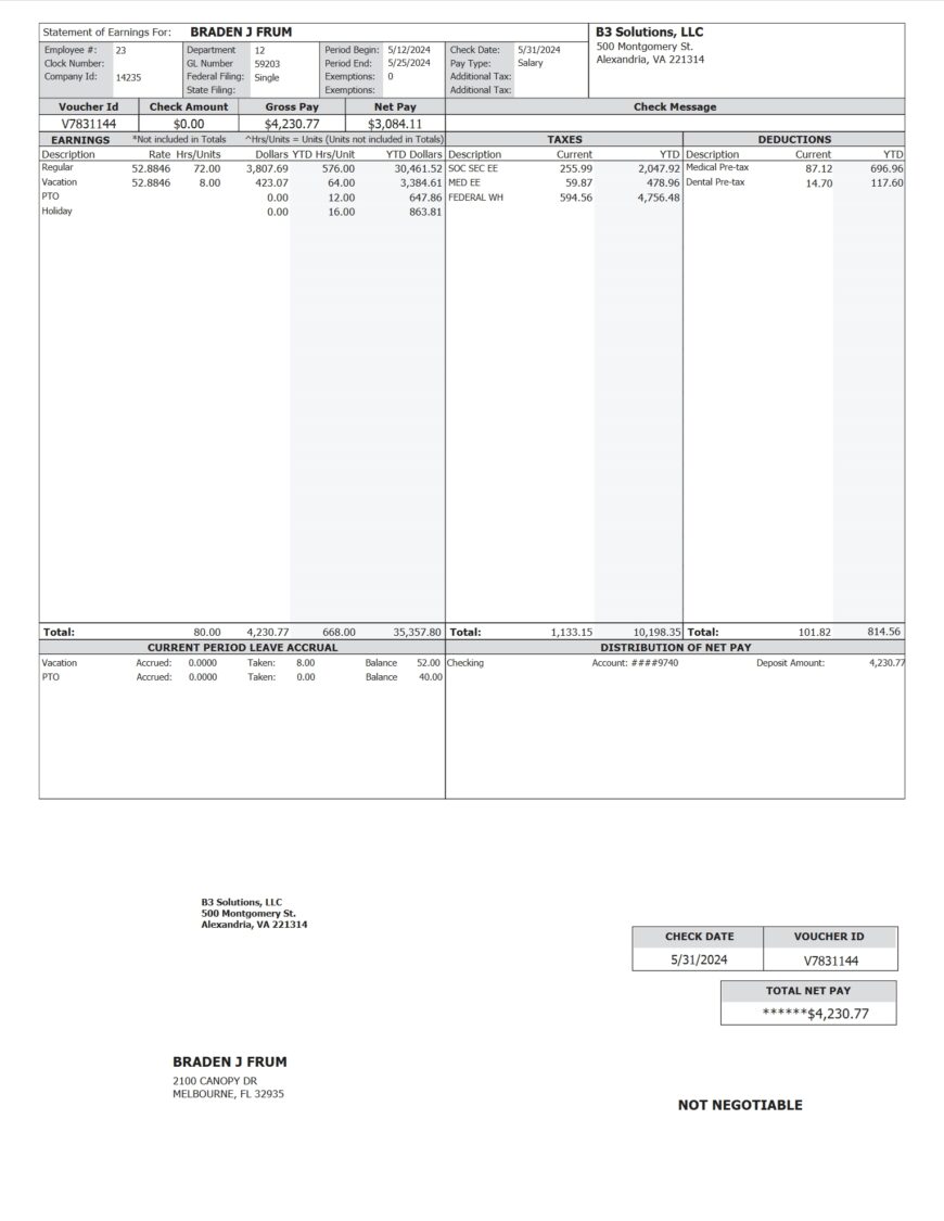 USA B3 Solutions LLC Paystub Word And PDF Template
