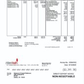 USA Children’s Health Paystub Word And PDF Template