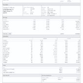 USA Coulson Aviation Paystub Word And PDF Template