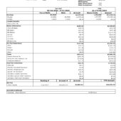 USA FinThrive Paystub Word And PDF Template