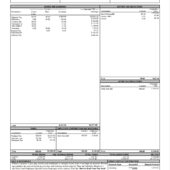 USA Memorial Hermann Health System Paystub Word And PDF Template
