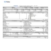 USA Meta Platforms Paystub Word And PDF Template (2 Pages)