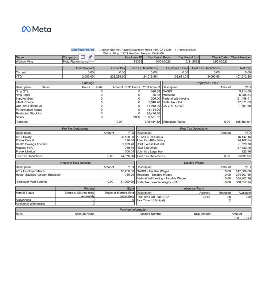 USA Meta Platforms Paystub Word And PDF Template 2 Pages
