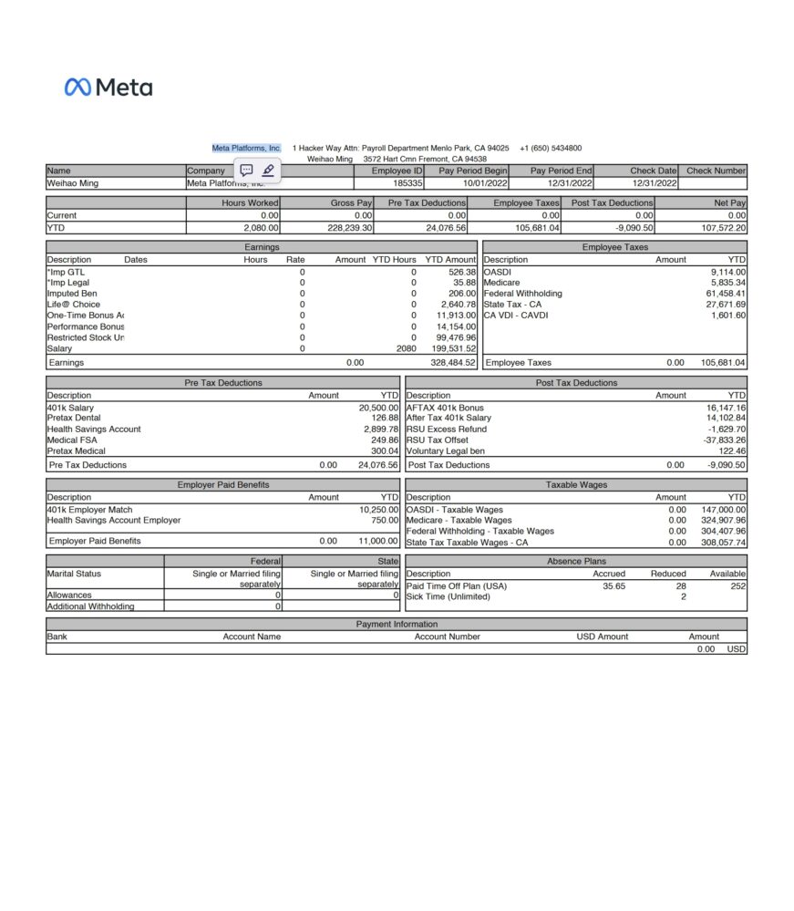 USA Meta Platforms Paystub Word And PDF Template 2 Pages