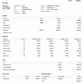 USA PHI Air Medical Paystub Word And PDF Template