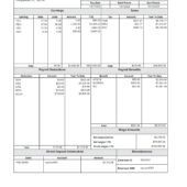 USA PNC Bank Paystub Word And PDF Template