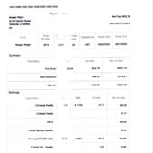 USA Palomar Health Paystub Word And PDF Template (6 Pages)