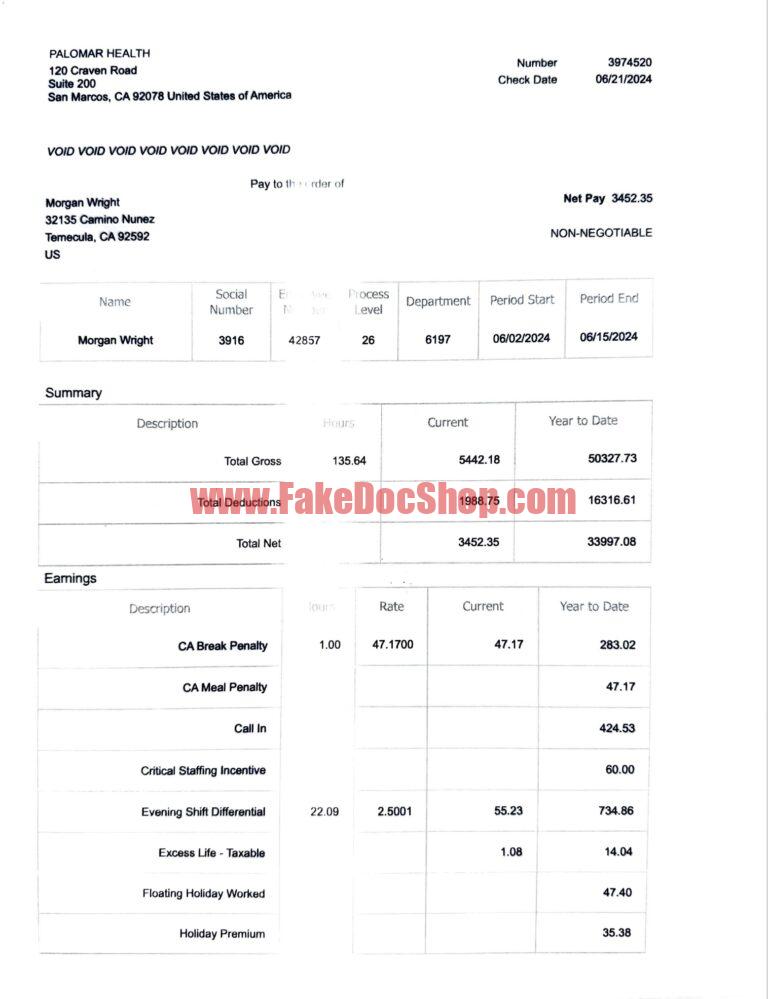 USA Palomar Health Paystub Word And PDF Template 6 Pages