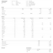 USA Protective Paystub Word And PDF Template (2 Pages)