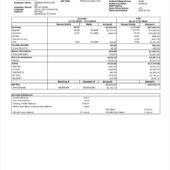 USA Sazerac Paystub Word And PDF Template