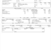 USA United Healthcare Inc PayStub Word And PDF Template