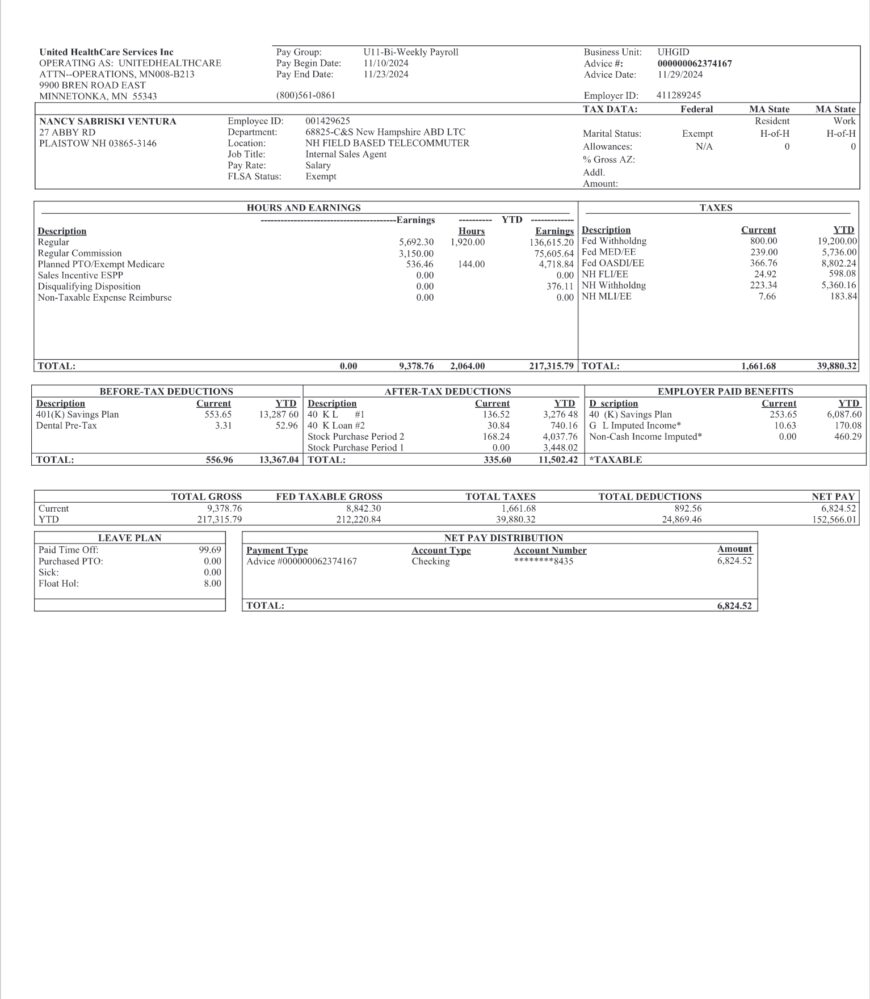 USA United Healthcare Inc PayStub Word And PDF Template