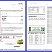 United States DocOrigin Phone Bill Template in Word and PDF format