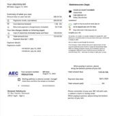 Algeria Sonelgaz Electricity Bill Word And PDF Template