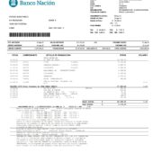 Argentina Banco Nación Credit Card Statement Word and PDF Template (3 Pages)
