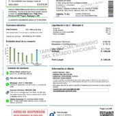 Argentina Edenor Electricity Bill Word And PDF Template (2 Pages)
