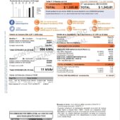 Argentina Edesur Electricity Bill Word And PDF Template (2 Pages)