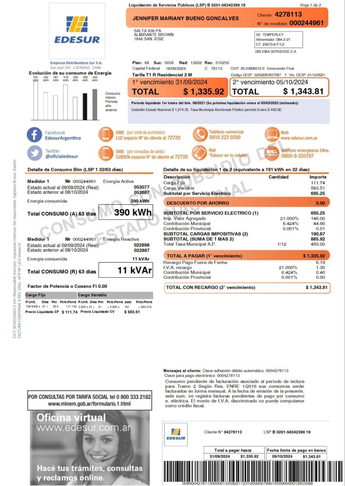 Argentina Edesur Electricity Bill Word And PDF Template 2 Pages