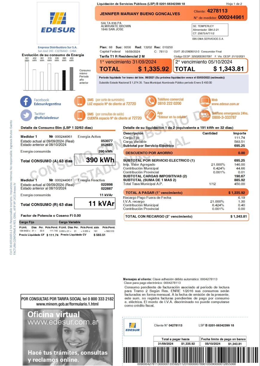 Argentina Edesur Electricity Bill Word And PDF Template 2 Pages