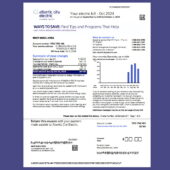 Atlantic City Electric Utility Bill Template in Word and PDF Format