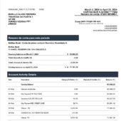 Belgium Belfius Bank Professional Account Statement Word And PDF Template