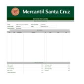 Bolivia Banco Mercantil Santa Cruz Account Statement Word And PDF Template